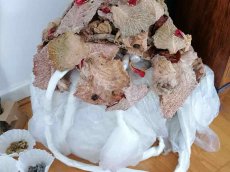 Monika Seibel Fotografie