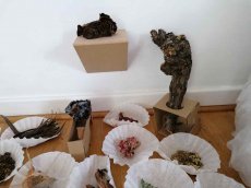 Monika Seibel Fotografie