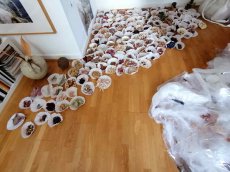 Monika Seibel Fotografie