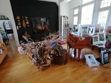 Monika Seibel Fotografie