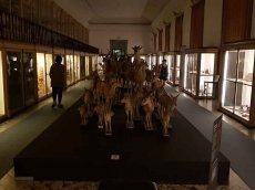 Coimbra - Portugal - Naturhistorisches Museum