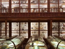 Coimbra - Portugal - Naturhistorisches Museum