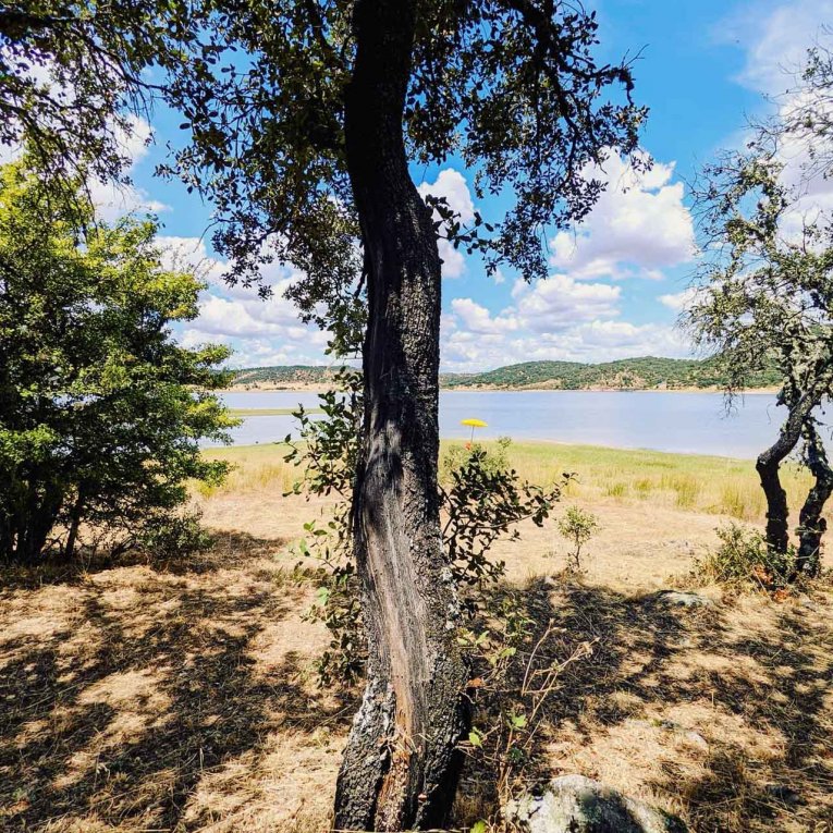 Portugal - Idanha a Nova