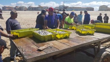 Praia da Mira - Portugal