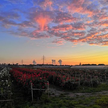 Düesseldorf - Impressionen