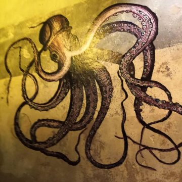 Hamburger Impressionen