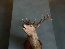 Frankreich - Centre - Les Bordes Golf Club