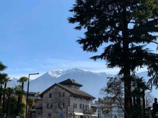 Schweiz - Tessin - Ascona