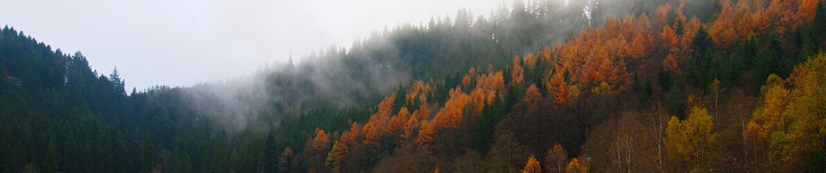 Baiersbronn - Schwarzwald - Baden-Württemberg