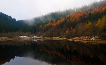 Baiersbronn - Schwarzwald - Baden-Württemberg