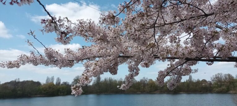 Jahresrückblick-23/24 - Senioren Hubbelrath