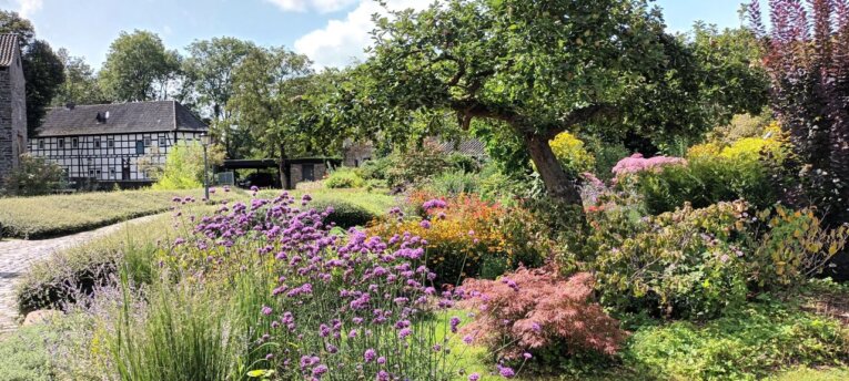Jahresrückblick-23/24 - Senioren Hubbelrath